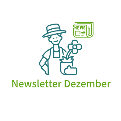 Newsletter Dezember 2024 - Newsletter Dezember 2024